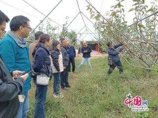 徐州睢宁：科技下乡解难题 果农喜迎“及时雨”