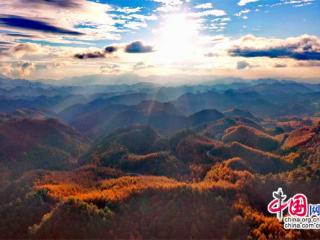 秋风染层林 曾家山开启秋日限定色彩盛宴(图)