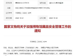 卢浮宫博物馆藏品遭劫，国家文物局：敲响警钟，吸取教训