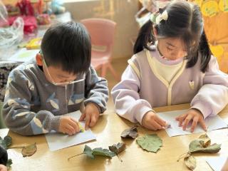淄博市淄川区柳泉幼儿园开展“霜降·树叶拓印”自然美学活动