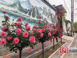 高邑县李家庄村：和美乡村建设跑出“加速度”