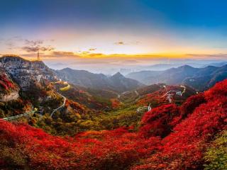 淄博红叶进入最佳观赏期，各景区“红叶大战”已开始！