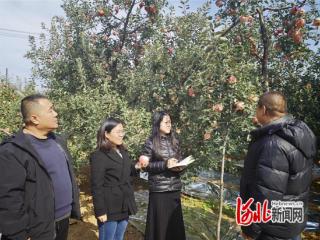 秦皇岛市抚宁区直通式气象服务为农业生产撑起“安全伞”