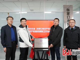 河北省（张家口知识产权协会）知识产权维权援助工作站揭牌