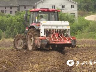 播州区泮水镇：油菜地里播种忙 机械化生产增效助增收