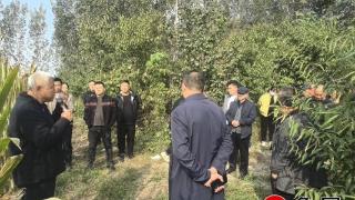 【民生实事进行时】德州天衢新区新区服务管理办公室：专家田间地头“把脉问诊” 助力秋收秋种提质增效