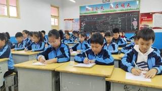 东昌府区新区小学开展硬笔书法比赛活动