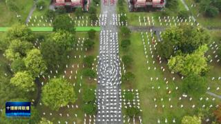 2025国际武当太极文化节丨中外嘉宾盛赞开幕式:融合传统与现代 展现太极文化活力(图1)