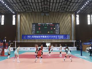 豫排联赛焦点一战后，教练开启“狂赞模式”……