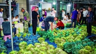 解锁千年蟹文化 品蟹咏蟹皆风雅 解锁千年蟹文化 品蟹咏蟹皆风雅