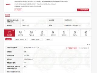 南京玄武高新技术产业集团有限公司被行政处罚