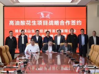 山东潍坊峡山区：国企民企牵手协作，共建精品粮油示范区