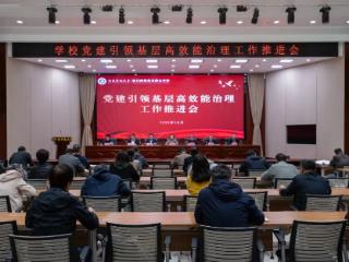 河南开放大学召开党建引领基层高效能治理工作推进会