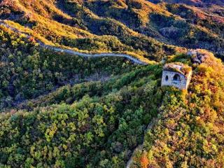 彩叶映长城 共绘秋景画