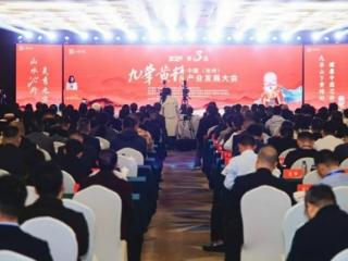 青阳擦亮黄精招牌，种植面积5年扩大近7倍