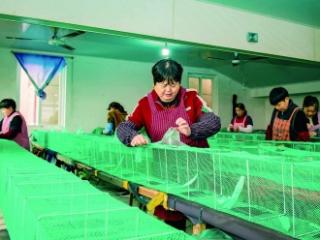 指尖尼龙线 织就致富网