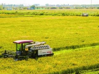 “订单”一张 “钱景”一片