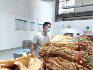 描绘丰收景 织就振兴图 安徽池州擦亮为民服务底色