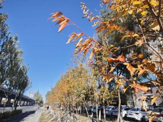 雨雪天气将至！@吉林人注意
