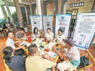 市纪委监委在鼓浪屿开展“茶桌仔”活动 快速响应解决三桩经营困扰