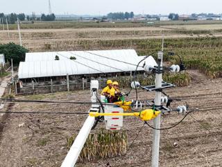 国网河南电力保障可靠供电，服务农户——抢收秋粮 颗粒归仓