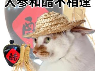 健康辟谣丨我妈把陈醋当“血管药”！喝醋真的能软化血管吗？