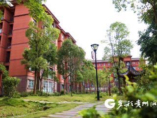 绥阳县虹桥社区：有家又有业 搬迁群众在这里找到幸福与归属