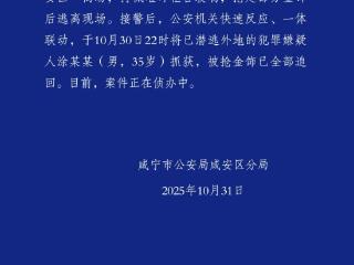 湖北咸宁警方通报一男子持械抢劫金店：被抢金饰全部追回，嫌犯抓获