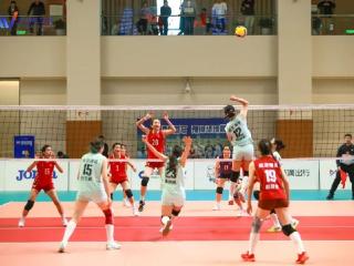 豫排联赛很精彩，港区的“氛围组”今天“上大分”！