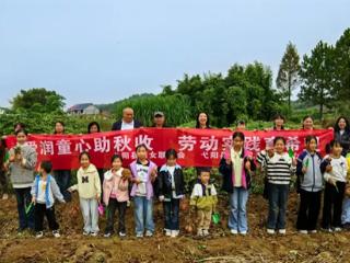 弋阳县港口镇妇联携爱心妈妈开展“大手牵小手，秋收庆丰收”劳动实践活动