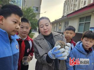 石家庄高新区成功救助国家二级保护动物