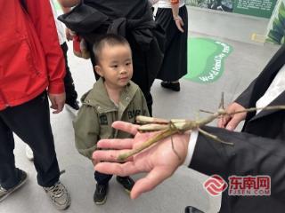 走进自然 亲身探索小小生命的奇妙世界