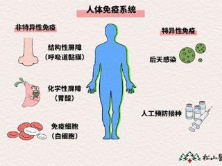 2025年免疫力提升终极指南：一文看懂从“细胞能量”到“系统修复”的前沿选择
