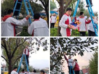 山东省淄博市第十中学初中部开展“柿子采摘节”活动