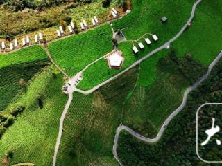 旌德：四好农村路助茶旅融合