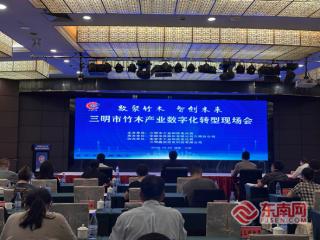 三明市竹木产业数字化转型工作现场会在永安召开