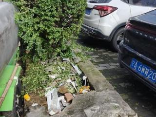 小8跑街|工农路绿化带内堆积垃圾杂物