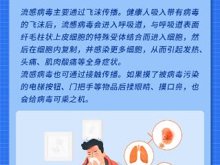 一图读懂：流感流行季来临，如何科学防治？