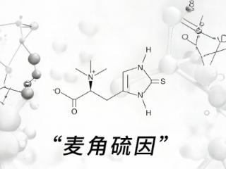 血糖高怎么办？生诺泰+麦角硫因破局控糖困局，12周稳糖无负担