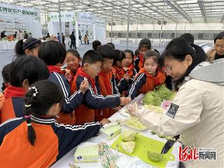 记者走基层｜鲜食蔬菜“争宠” 餐桌绿意更浓