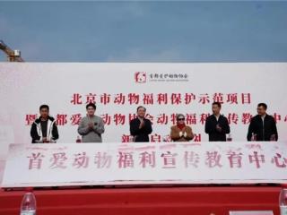 探索流浪动物救助新模式 | 金故公益携手首爱开启温暖同行三年计划