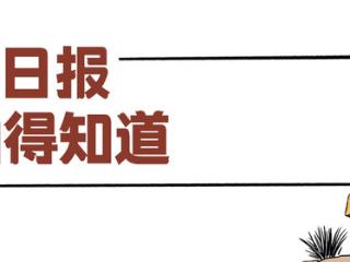 百姓看日报丨看，华北豹！