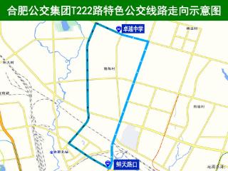 11月5日起，合肥新开T222路T223路特色公交线路