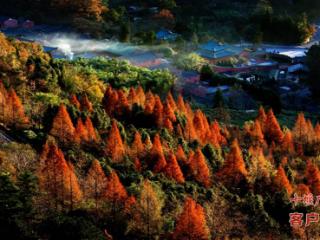 武当山老君洞：一部藏于山林的千年道教石刻史书