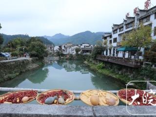 黟县：卢村秋色引客来（组图）