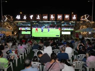 江苏南京：搭起一块屏，“进球”又进账