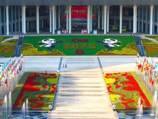 第八届进博会今天在上海开幕 南京斯图加特“双城展”精彩亮相