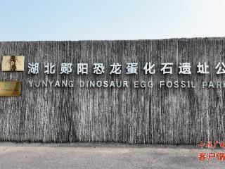 “一个蛋也不能少！” 十堰青龙山近万枚恐龙蛋化石首次实现“身份证ID”