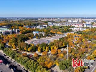 唐山市乐亭县全面加力实施城市能级跃升行动