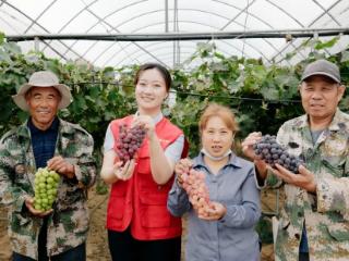 沂水农商银行：金融活水润乡土 硕果累累话丰收